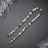 Natural Abalone Shell/Paua Shell Beads SSHEL-BC0001-09-6