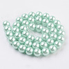 Eco-Friendly Dyed Glass Pearl Round Beads Strands HY-A002-10mm-RB034N-2