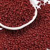8/0 Baking Paint Glass Seed Beads SEED-M012-02A-43-1