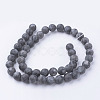 Natural Black Larvikite Bead Strands G-G735-57F-8mm-2