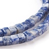 Natural Blue Spot Jasper Beads Strands G-F631-K06-3