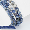 GOMAKERER 4 Strands 4 Styles Natural Blue Spot Jasper Beads Strands G-GO0001-48-3