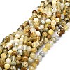 Natural Opal Beads Strands G-E576-12B-1