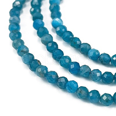 Natural Apatite Beads Strands X-G-Z057-B02-02-1