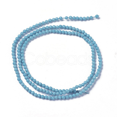 Synthetic Turquoise Beads Strands G-F596-39-3mm-1