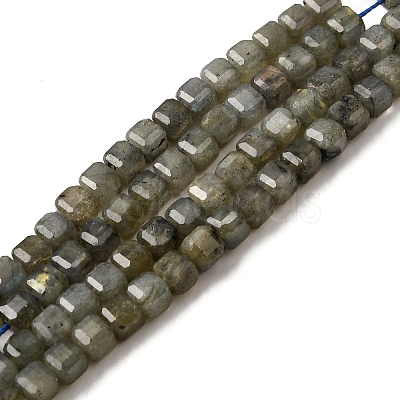 Natural Labradorite Beads Strands G-F797-A09-01-1