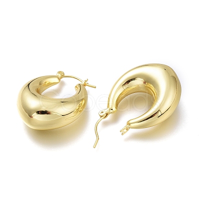 Brass Hoop Earrings EJEW-H104-19G-1