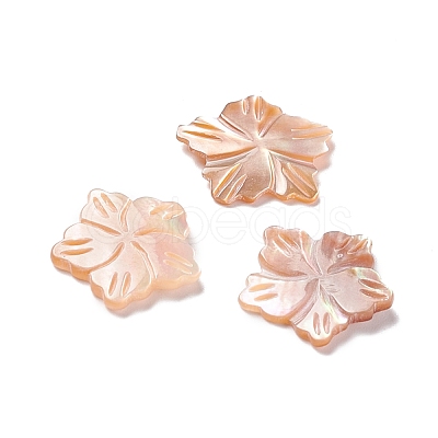 Sea Shell Cabochons SSHEL-C008-09-1