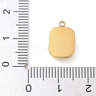 304 Stainless Steel Charms STAS-Q345-49G-1