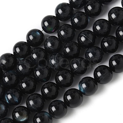 Natural Black Lip Shell Beads Strands SSHEL-C013-01C-1