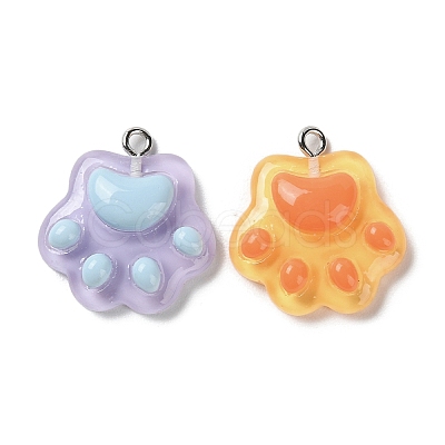 Cartoon Translucent Resin Pendants X-RESI-D071-01-1