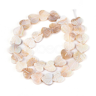 Electroplated Natural Freshwater Shell Carved Beads Strands SHEL-T020-14-1