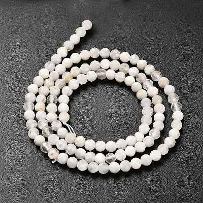 Natural Rainbow Moonstone Beads Strands LS-G-RM2025-31-3mm-1
