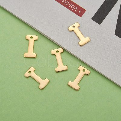 304 Stainless Steel Charms LS-X-STAS-P141-I-1