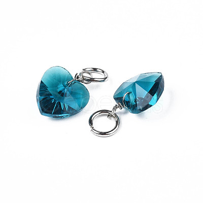 Faceted Transparent Glass Charms GLAA-T024-04D-1