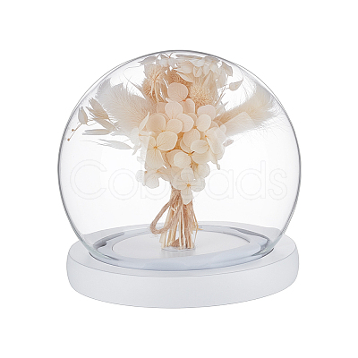 Glass Dome Cover AJEW-WH0752-087A-1