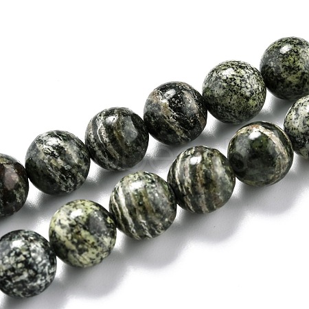 Natural Green Zebra Jasper Beads Strands G-O199-05C-1