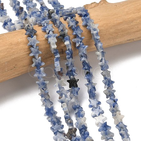 Natural Blue Spot Jasper Beads Strands G-F817-A12-01-1