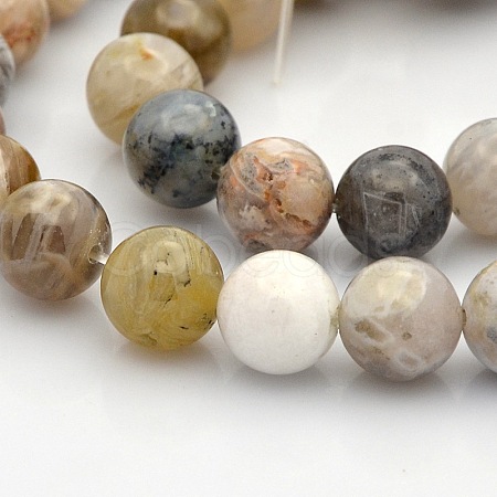 Natural Bamboo Leaf Agate Round Beads Strands G-N0120-12-10mm-1