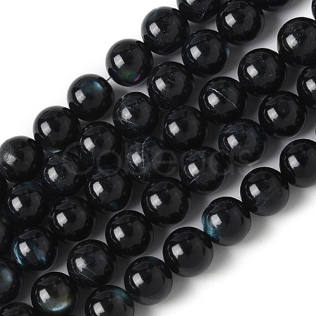 Natural Black Lip Shell Beads Strands SSHEL-C013-01C-1