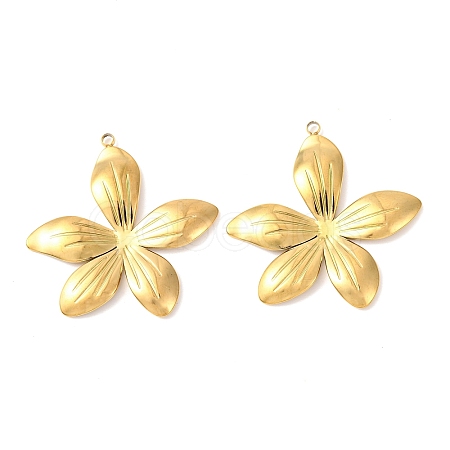 304 Stainless Steel Pendants STAS-A133-02C-G-1