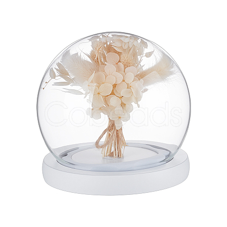 Glass Dome Cover AJEW-WH0752-087A-1