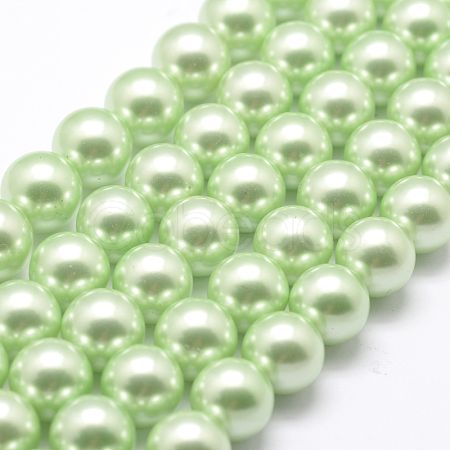 Polished Round Grade A Shell Pearl Bead Strands BSHE-M027-6mm-21-1