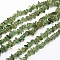 Chips Natural Green Apatite Beads Strands, 3~8x3~12x3~5mm, Hole: 1mm, about 16 inch