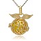 Golden Tone Brass Hollow Round Cage Pendants, with No Hole Spray Painted Brass Ball Beads, Gold, 26x26x19mm, Hole: 3x8mm