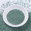 MIYUKI Delica Beads SEED-X0054-DB0416-2