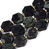 Natural Kambaba Jasper Beads Strands G-N368-01A-02-2