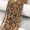 Natural Tiger Eye Beads Strands X-G-C127-A06-06-2