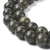 Natural Serpentine/Green Lace Stone Beads Strands G-S259-15-10mm-1-3