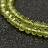 Natural Peridot Beads Strands G-F460-05-3