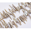 Natural Shell Beads Strands BSHE-P026-25-2