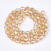 Electroplate Glass Beads Strands EGLA-T013-05J-2