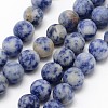 Natural Blue Spot Jasper Round Bead Strands G-D679-4mm-1