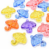 Transparent Acrylic Pendants TACR-T024-01B-1
