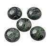Natural Kambaba Jasper Cabochons G-C115-02B-24-1
