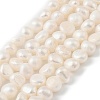 Natural Cultured Freshwater Pearl Beads Strands PEAR-P064-19J-02B-2