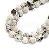 Natural Moonstone Beads Strand G-I376-D81-01-3