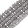 Baking Paint Imitation Jade Glass Bead Strands LS-X-DGLA-A034-J6MM-A43-1