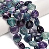 Natural Fluorite Beads Strands G-L634-J04-E02-1