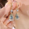 Teardrop Alloy Rhinestone Hoop Earrings FS-WG8F333-02-1