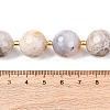 Natural Fossil Coral Beads Strands G-C249-A27-16MM-3
