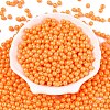 Opaque Baking Paint Glass Beads DGLA-T004-02H-1