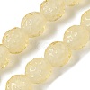 Handmade Lampwork Beads Strands LAMP-Z011-01G-1