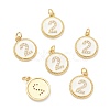 Brass Micro Pave Clear Cubic Zirconia Charms ZIRC-J040-44G-02-1