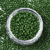 Baking Paint Glass Seed Beads SEED-S042-05A-04-2