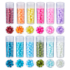 120G 12 Colors Baking Paint Pearlized Glass Seed Beads SEED-DC0001-21-1